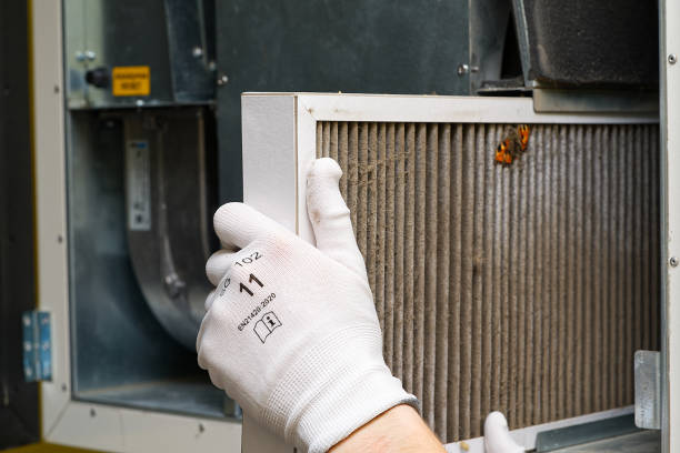 Best Local Air Duct Cleaning Services  in Horizon West, FL